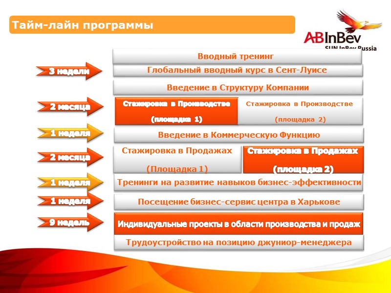 Тайм-лайн программы       3 недели Глобальный вводный курс в